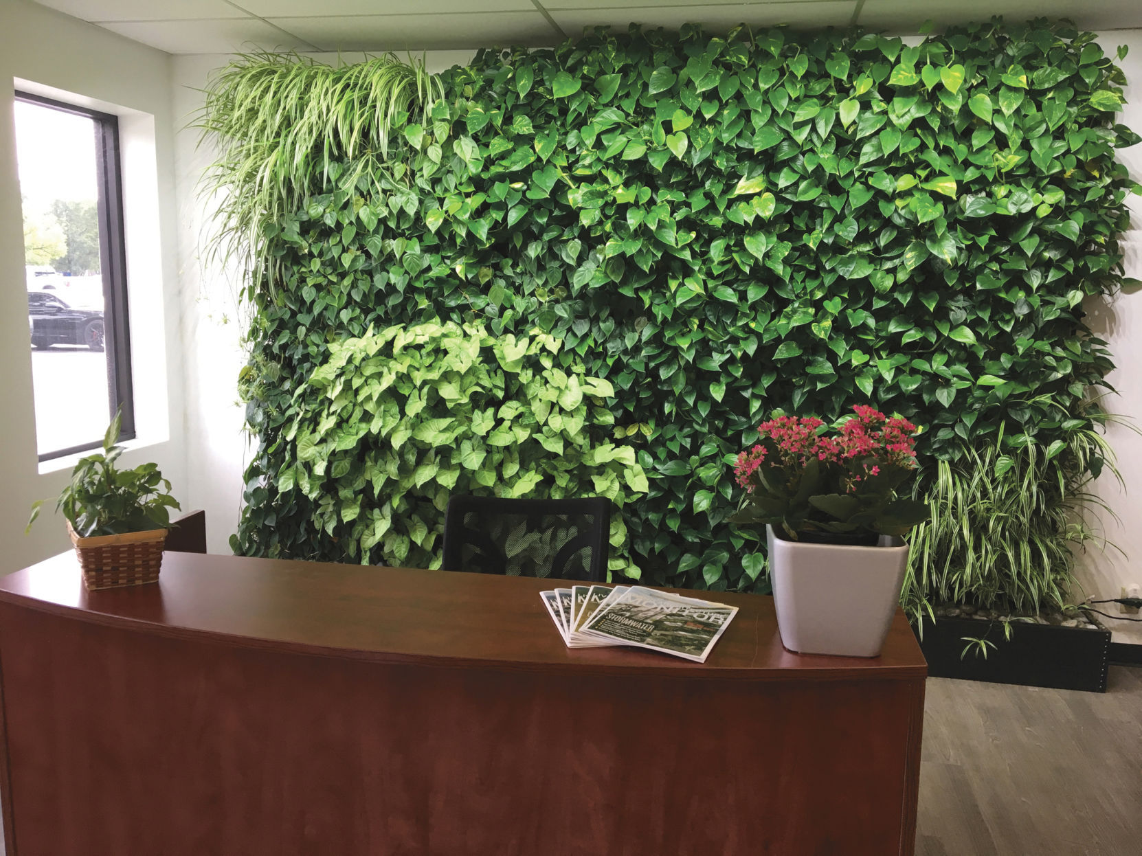 CMyKFiltrexx VerTexx Living Wall - Fenton Office.jpg